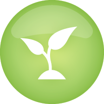 Sustainable Icon