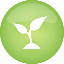Sustainable Icon